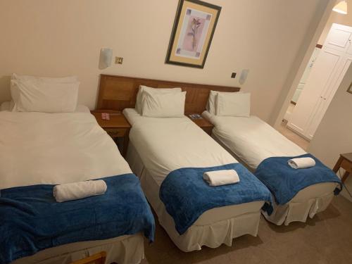 The Waterloo Hotel & Bistro Room Type - Triple Room