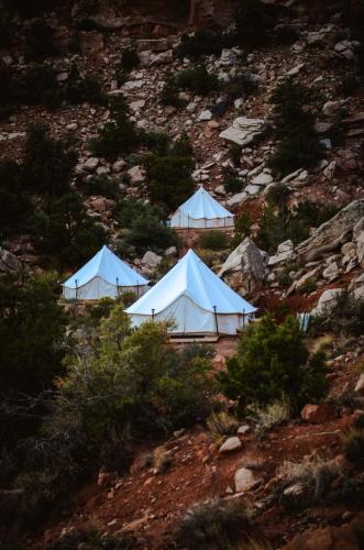 Zion Glamping Adventures