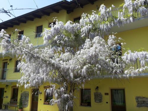 Agriturismo Tra Serra E Lago - image 5