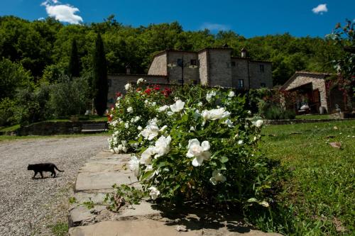 B&B Capolona - Agriturismo Azienda Agricola Il Pozzo - Bed and Breakfast Capolona