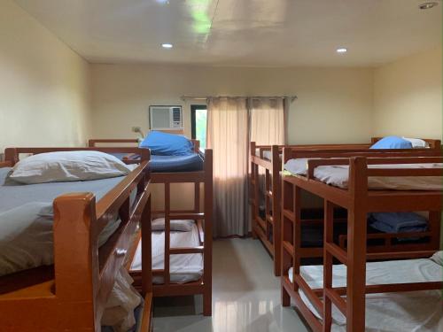 12 bunk beds