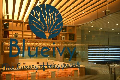 Hotel Blueivy Anand