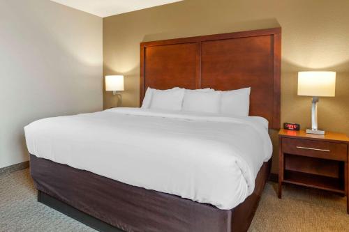 Comfort Inn in Sault Ste. Marie, USA