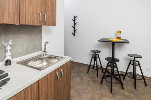 Kitchen, APARTMANY VILA LIBENA in Petrkovice