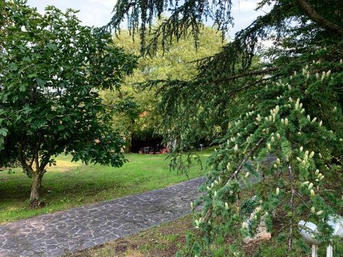 Euganean Hills Natural Park: Casale Il Boschetto