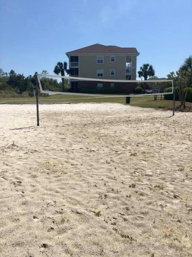 Flock to the sand and the effect of calming waves - image 6