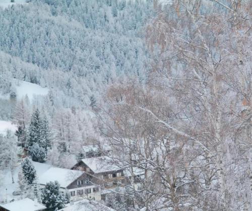 Hotel Restaurant Bürchnerhof in Bürchen