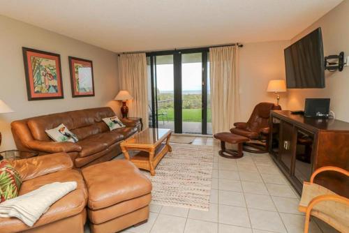 Barefoot Trace 114 image