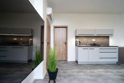 Apartmány Venuše (Apartmany Venuse) in Jih