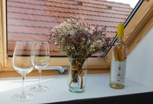 Takacs Pince apartman in Hajós