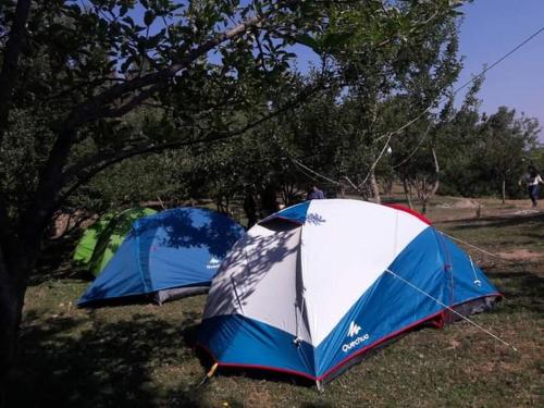 Odyssey's Apple Garden Camps Prashar