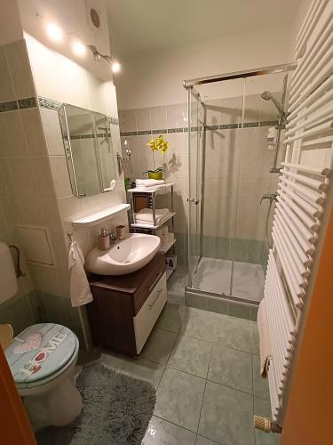 Fészek Apartman Sopron