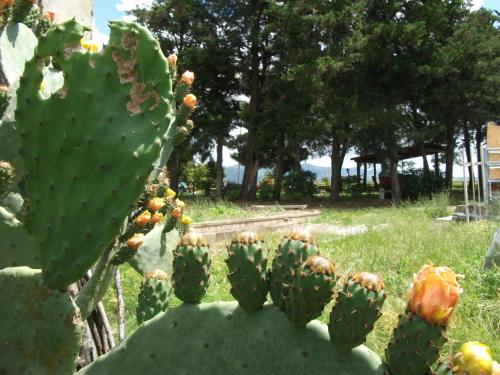 Agriturismo Mandriato