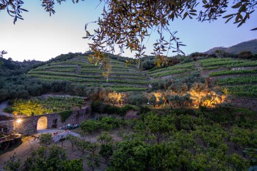 布兰科农庄酒店 布兰科农庄酒店