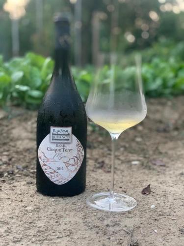 布兰科农庄酒店 布兰科农庄酒店