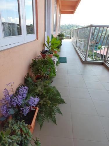 Balkons/terase, SEWANS PLACE Homestay in Mirik