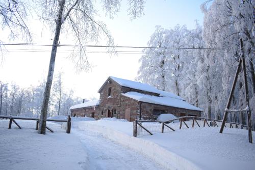 Chalet Vecchio Rifugio - Monte Amiata Castel del Piano