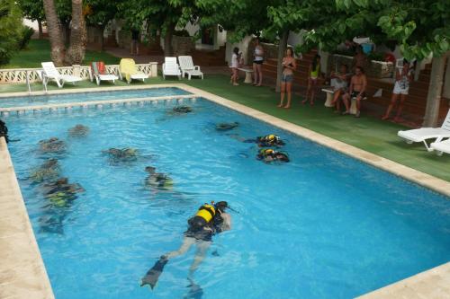 Apartamentos Els Romers Benicarló-Peñíscola - image 2