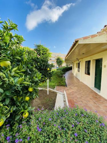 Hotel Los Jazmines - image 12