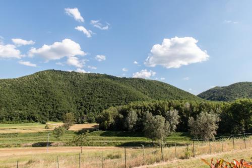 Il Colombaio Agriturismo - image 9