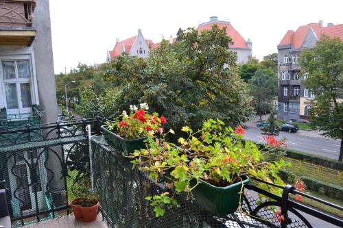 City center, sunny spacious luxury! - Apartment - Szczecin