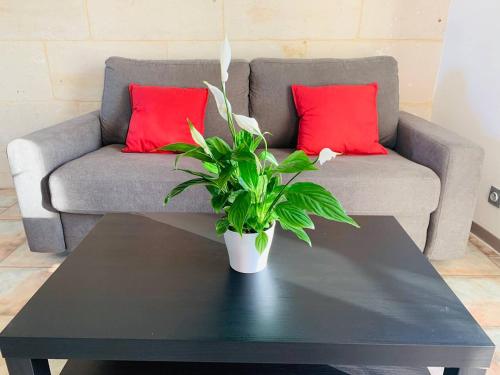 Le Petit Cosy Centre ville - WIFI - Parking (ideal couple, voyages d'affaire etudiant)