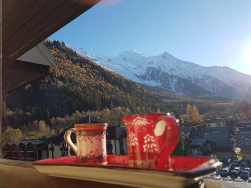 Vue MontBlanc magique en centre-ville avec parking