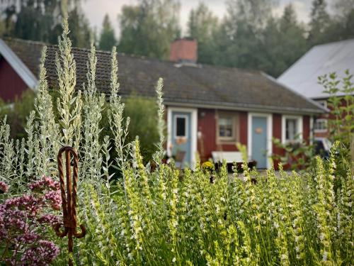 Ekologiska Fru Gran B&B i Tiveden