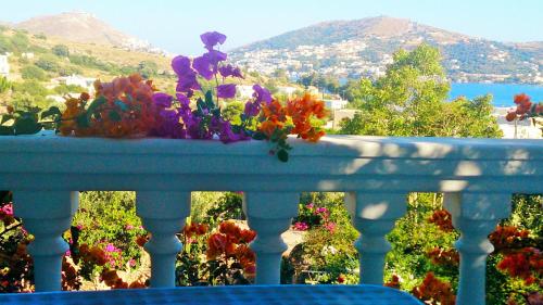 Utsikt, Angelika near Leros kommunale lufthavn