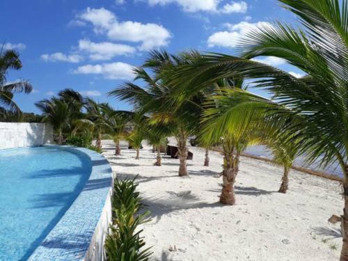Ocean front apartment in Cancun in Cancún, Mexico