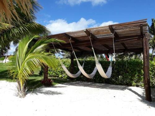 Ocean front apartment in Cancun in Cancún, Mexico