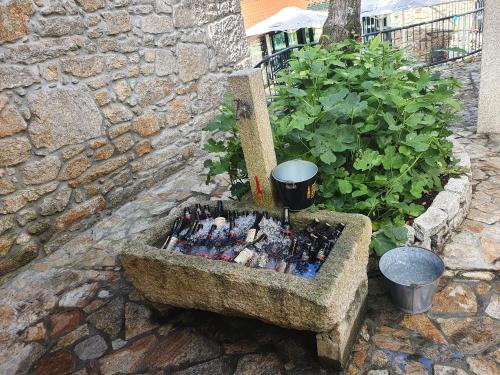  A Baiuca Muxía in Muxia