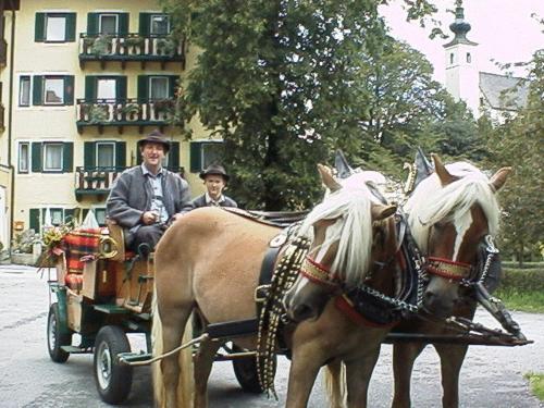 Torrenerhof - image 8