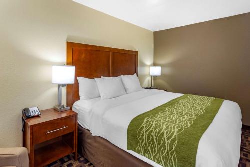 Comfort Inn & Suites North Aurora - Naperville - image 8