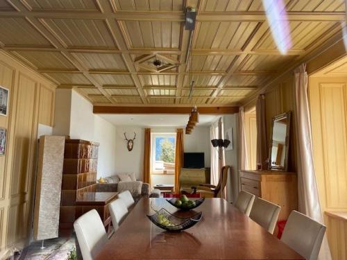 on a quiet location, beautiful, spacious holidayhouse, only for holidays, with a fantastic view, perfect for skiing, walking and hiking