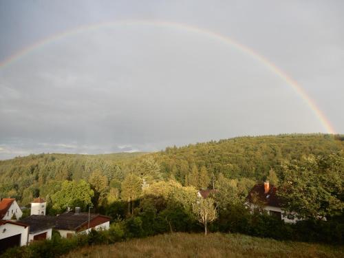 Waldblick