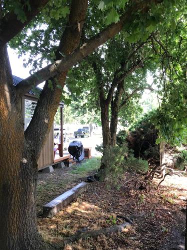 Goose Creek RV Park & Campground - main image