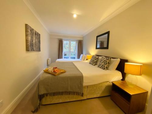 Stylish Apartments in Victoria & Westminster 2