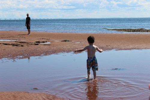 Cottages On PEI-Oceanfront