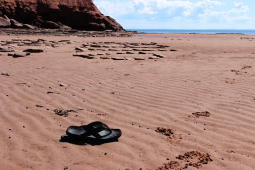 Cottages On PEI-Oceanfront