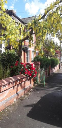 Bird Song Guest House Old Trafford, Manchester (photo 4)