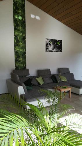 Ferienwohnung Fröhlich (Ferienwohnung Frohlich) in Stadtprozelten