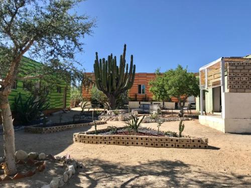Susu’Z Village Hostel and Rooms - La Ribera
