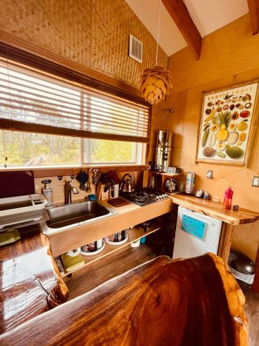 Volcano Eco Cabin & Eco Lodge in Fern Forest (HI)