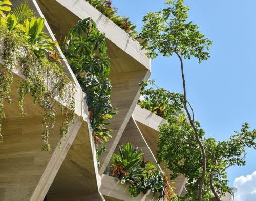 Mistiq Tulum absolutely best in luxury and comfort