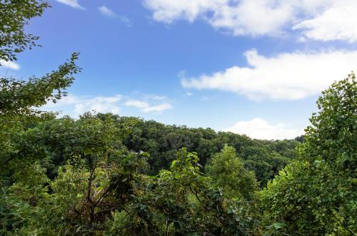 Pappy's Peak cabin