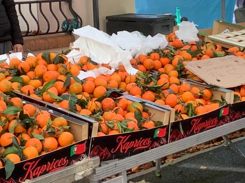 4 Rue Père Guisset gîte à louer Ceret