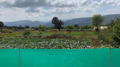 Mauli agro tourism murhaa