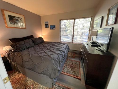 150 Standard Condo - image 2