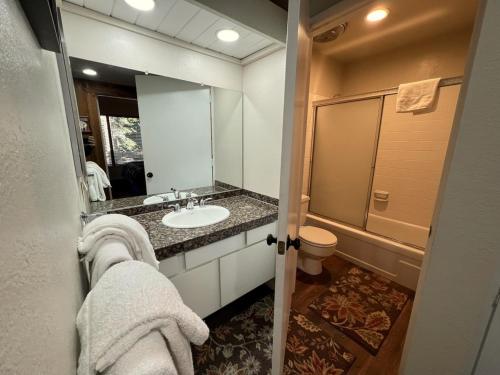 150 Standard Condo - image 5